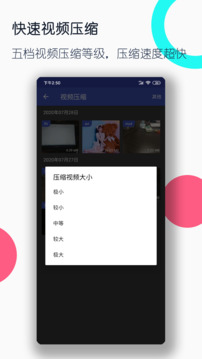 视频格式转换工厂2024