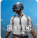 绝地求生台服