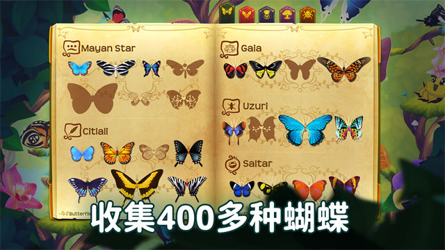 彩翼蝴蝶保护区