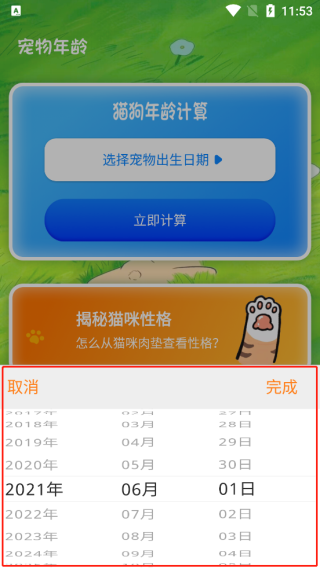 选择宠物出生日期
