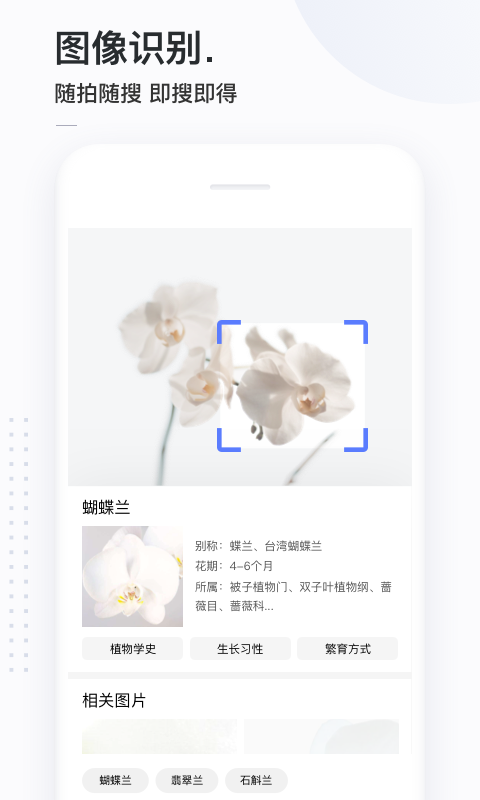 百万英雄答题神器