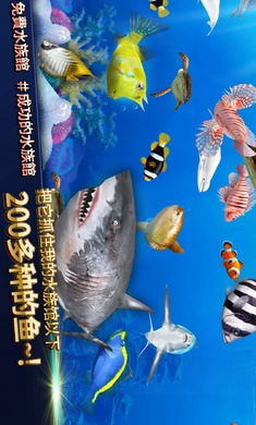钓鱼竞争者