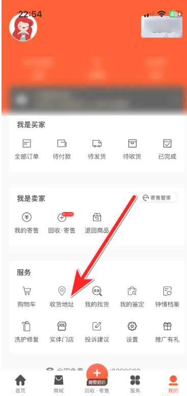 妃鱼
