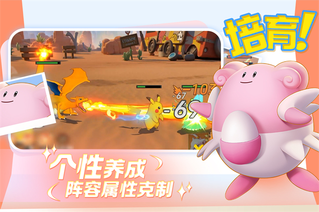 宠物集结
