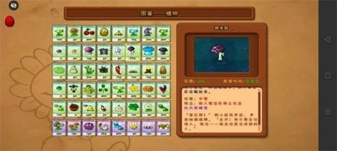 植物大战