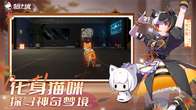 猫之城b服