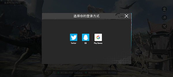 和平精英国际服正版
