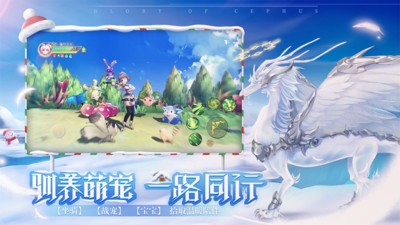 塞尔之光