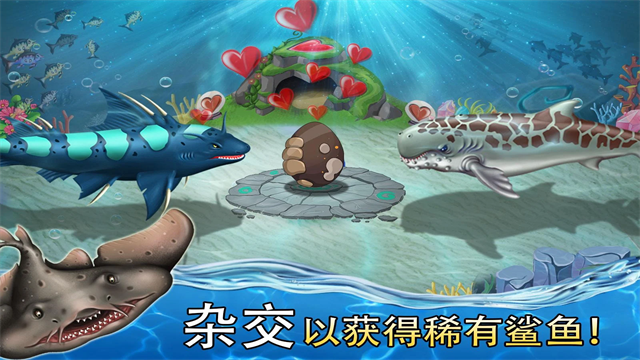 鲨鱼世界