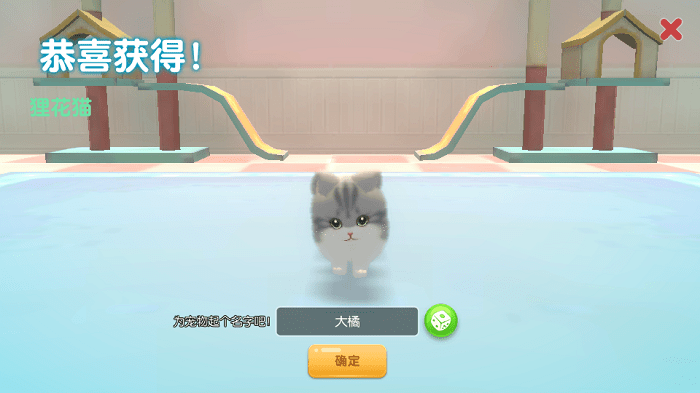养了个猫2022