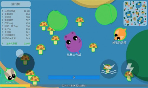 丛林大作战