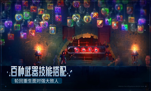 重生细胞小米服
