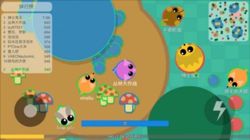 丛林大作战最新版
