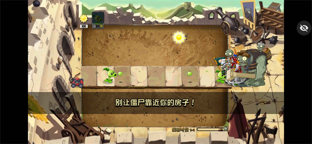 植物大战僵尸绽放时空